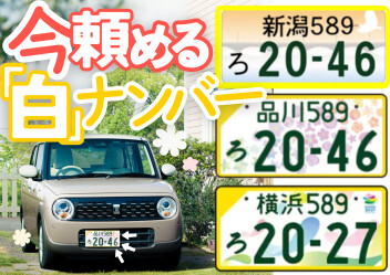 軽自動車の「白」ナンバー！どんなの？